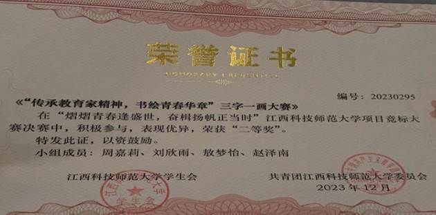 项目竞标大赛奖状